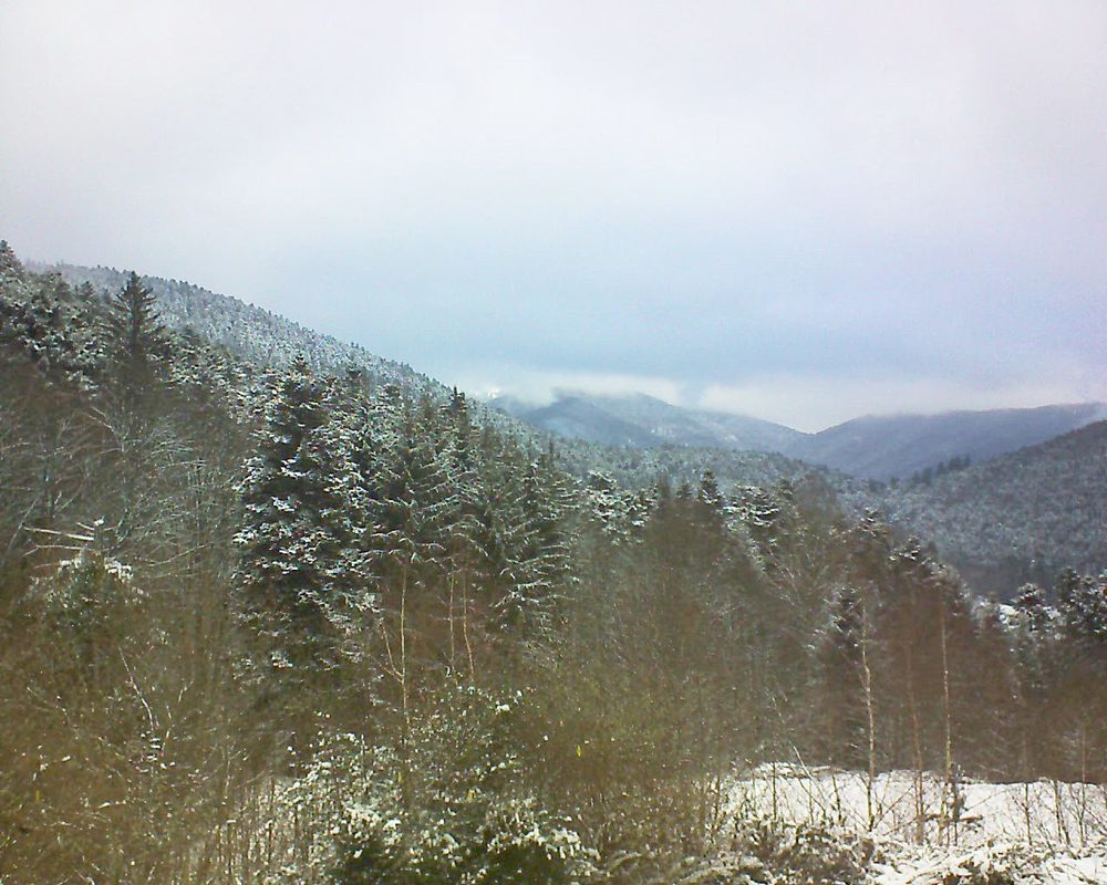 Le petit ballon vu depuis le Domaine Langmatt à Murbach le 10.01.2019 à 14:15 Le petit ballon (Alsace, Vosges) le 10.01.2019 à 14:15