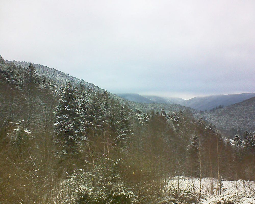 Le petit ballon vu depuis le Domaine Langmatt à Murbach le 10.01.2019 à 14:30 Le petit ballon (Alsace, Vosges) le 10.01.2019 à 14:30