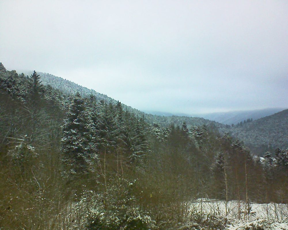 Le petit ballon vu depuis le Domaine Langmatt à Murbach le 10.01.2019 à 15:45 Le petit ballon (Alsace, Vosges) le 10.01.2019 à 15:45