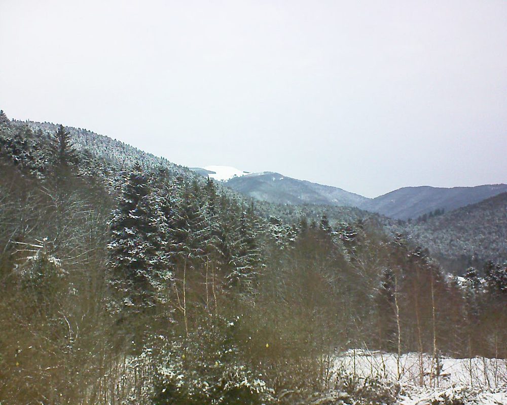 Le petit ballon vu depuis le Domaine Langmatt à Murbach le 11.01.2019 à 09:45 Le petit ballon (Alsace, Vosges) le 11.01.2019 à 09:45