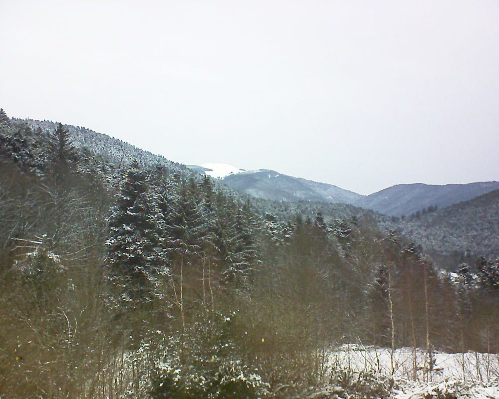 Le petit ballon vu depuis le Domaine Langmatt à Murbach le 11.01.2019 à 10:00 Le petit ballon (Alsace, Vosges) le 11.01.2019 à 10:00