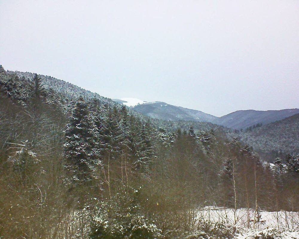Le petit ballon vu depuis le Domaine Langmatt à Murbach le 11.01.2019 à 11:00 Le petit ballon (Alsace, Vosges) le 11.01.2019 à 11:00
