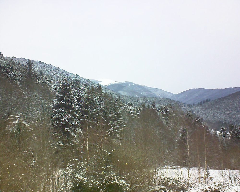 Le petit ballon vu depuis le Domaine Langmatt à Murbach le 11.01.2019 à 11:15 Le petit ballon (Alsace, Vosges) le 11.01.2019 à 11:15