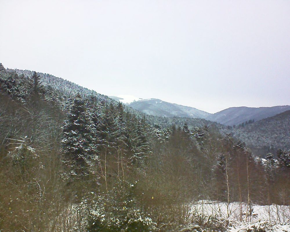 Le petit ballon vu depuis le Domaine Langmatt à Murbach le 11.01.2019 à 11:30 Le petit ballon (Alsace, Vosges) le 11.01.2019 à 11:30