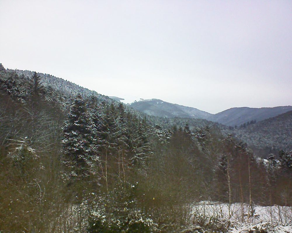 Le petit ballon vu depuis le Domaine Langmatt à Murbach le 11.01.2019 à 11:45 Le petit ballon (Alsace, Vosges) le 11.01.2019 à 11:45
