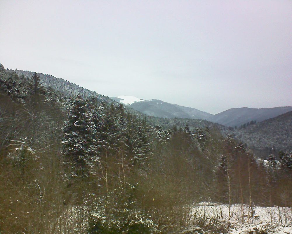 Le petit ballon vu depuis le Domaine Langmatt à Murbach le 11.01.2019 à 12:15 Le petit ballon (Alsace, Vosges) le 11.01.2019 à 12:15