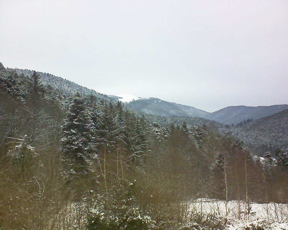 Le petit ballon vu depuis le Domaine Langmatt à Murbach le 11.01.2019 à 12:45 Le petit ballon (Alsace, Vosges) le 11.01.2019 à 12:45