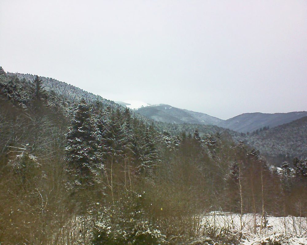 Le petit ballon vu depuis le Domaine Langmatt à Murbach le 11.01.2019 à 13:00 Le petit ballon (Alsace, Vosges) le 11.01.2019 à 13:00