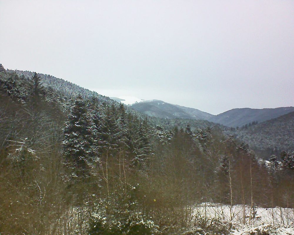 Le petit ballon vu depuis le Domaine Langmatt à Murbach le 11.01.2019 à 13:15 Le petit ballon (Alsace, Vosges) le 11.01.2019 à 13:15
