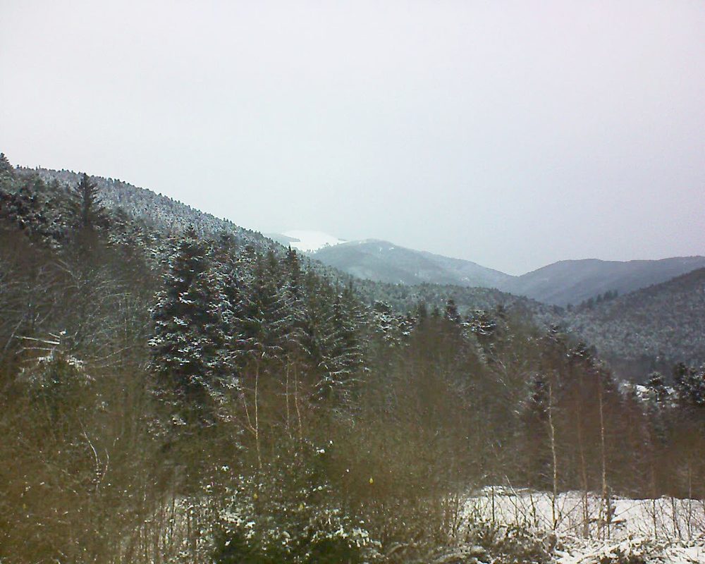 Le petit ballon vu depuis le Domaine Langmatt à Murbach le 11.01.2019 à 14:00 Le petit ballon (Alsace, Vosges) le 11.01.2019 à 14:00