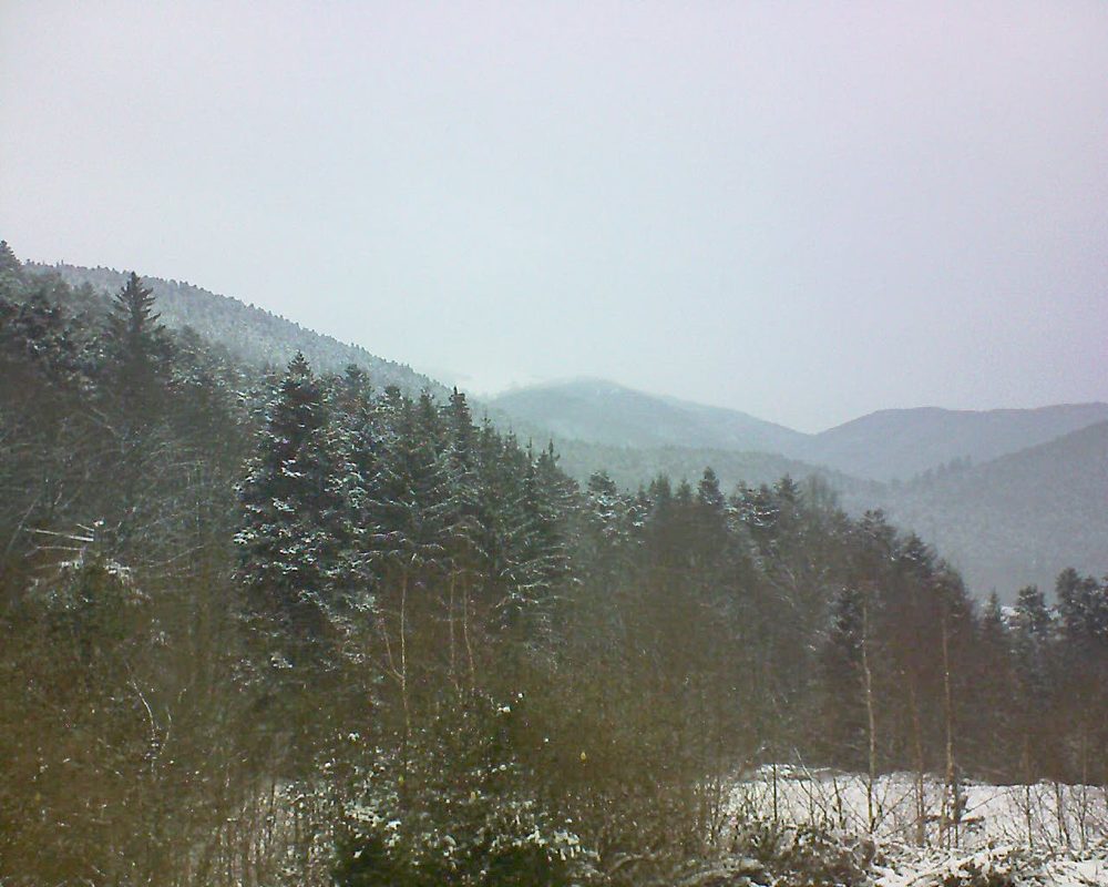 Le petit ballon vu depuis le Domaine Langmatt à Murbach le 11.01.2019 à 14:15 Le petit ballon (Alsace, Vosges) le 11.01.2019 à 14:15