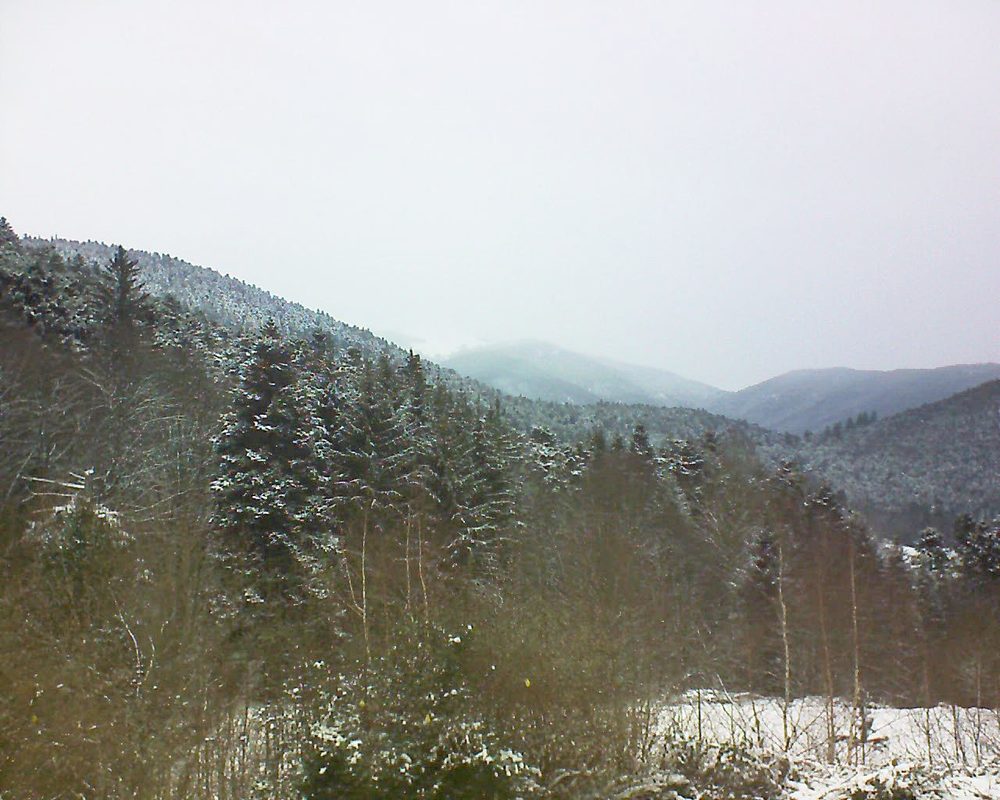 Le petit ballon vu depuis le Domaine Langmatt à Murbach le 11.01.2019 à 14:30 Le petit ballon (Alsace, Vosges) le 11.01.2019 à 14:30