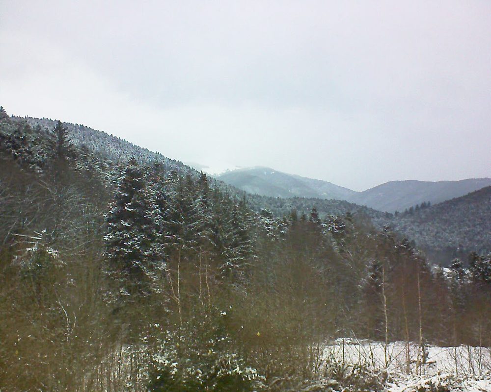 Le petit ballon vu depuis le Domaine Langmatt à Murbach le 11.01.2019 à 15:00 Le petit ballon (Alsace, Vosges) le 11.01.2019 à 15:00