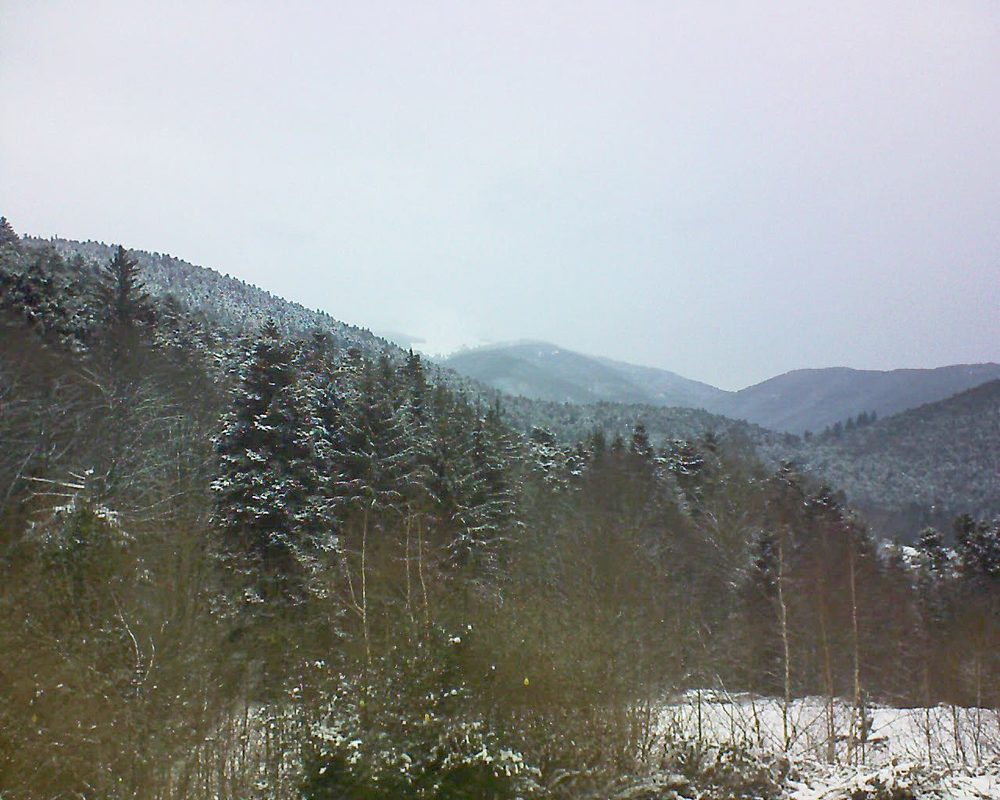 Le petit ballon vu depuis le Domaine Langmatt à Murbach le 11.01.2019 à 15:15 Le petit ballon (Alsace, Vosges) le 11.01.2019 à 15:15