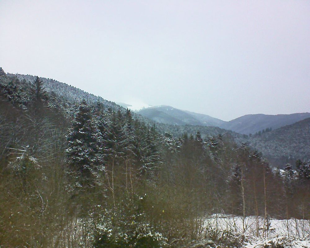Le petit ballon vu depuis le Domaine Langmatt à Murbach le 11.01.2019 à 15:30 Le petit ballon (Alsace, Vosges) le 11.01.2019 à 15:30