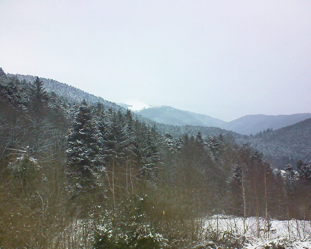Le petit ballon vu depuis le Domaine Langmatt à Murbach le 11.01.2019 à 15:45 Le petit ballon (Alsace, Vosges) le 11.01.2019 à 15:45