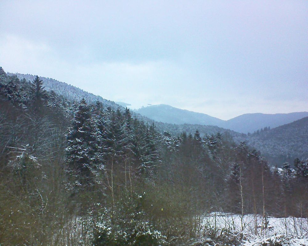 Le petit ballon vu depuis le Domaine Langmatt à Murbach le 11.01.2019 à 16:00 Le petit ballon (Alsace, Vosges) le 11.01.2019 à 16:00