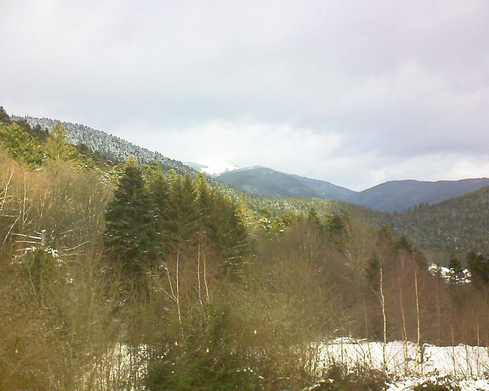 Le petit ballon vu depuis le Domaine Langmatt à Murbach le 12.01.2019 à 11:15 Le petit ballon (Alsace, Vosges) le 12.01.2019 à 11:15