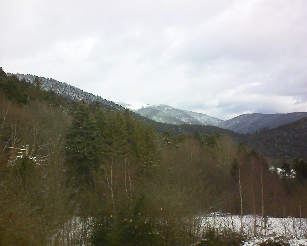 Le petit ballon vu depuis le Domaine Langmatt à Murbach le 12.01.2019 à 11:30 Le petit ballon (Alsace, Vosges) le 12.01.2019 à 11:30