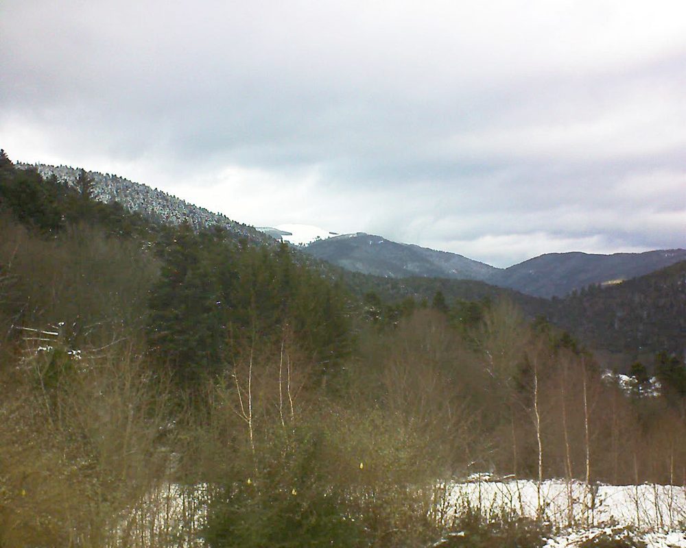 Le petit ballon vu depuis le Domaine Langmatt à Murbach le 12.01.2019 à 12:45 Le petit ballon (Alsace, Vosges) le 12.01.2019 à 12:45