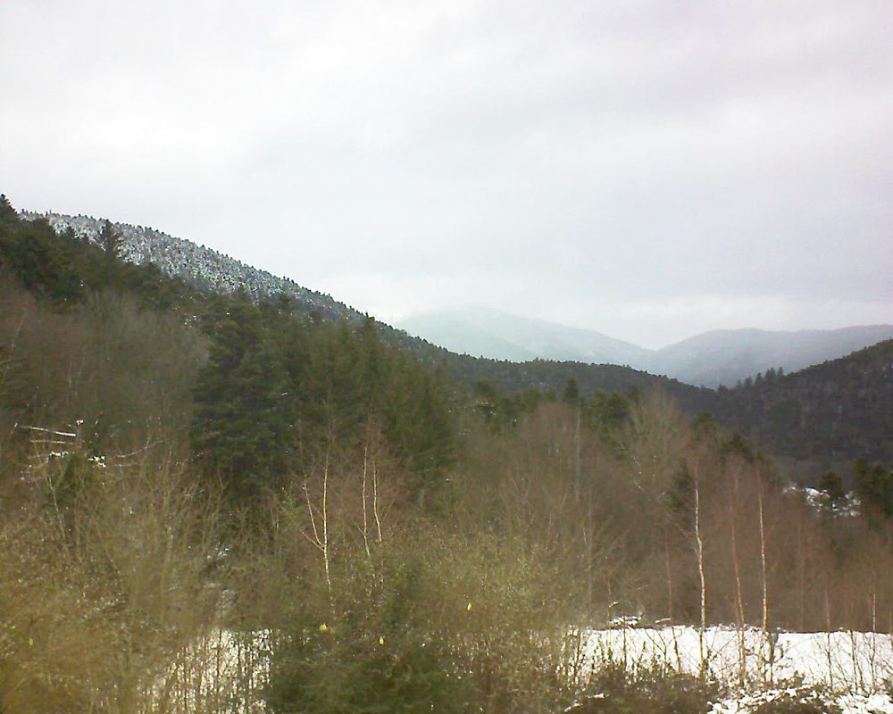 Le petit ballon vu depuis le Domaine Langmatt à Murbach le 12.01.2019 à 14:00 Le petit ballon (Alsace, Vosges) le 12.01.2019 à 14:00