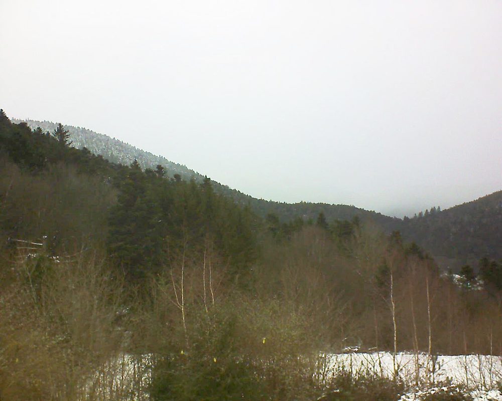 Le petit ballon vu depuis le Domaine Langmatt à Murbach le 12.01.2019 à 14:45 Le petit ballon (Alsace, Vosges) le 12.01.2019 à 14:45