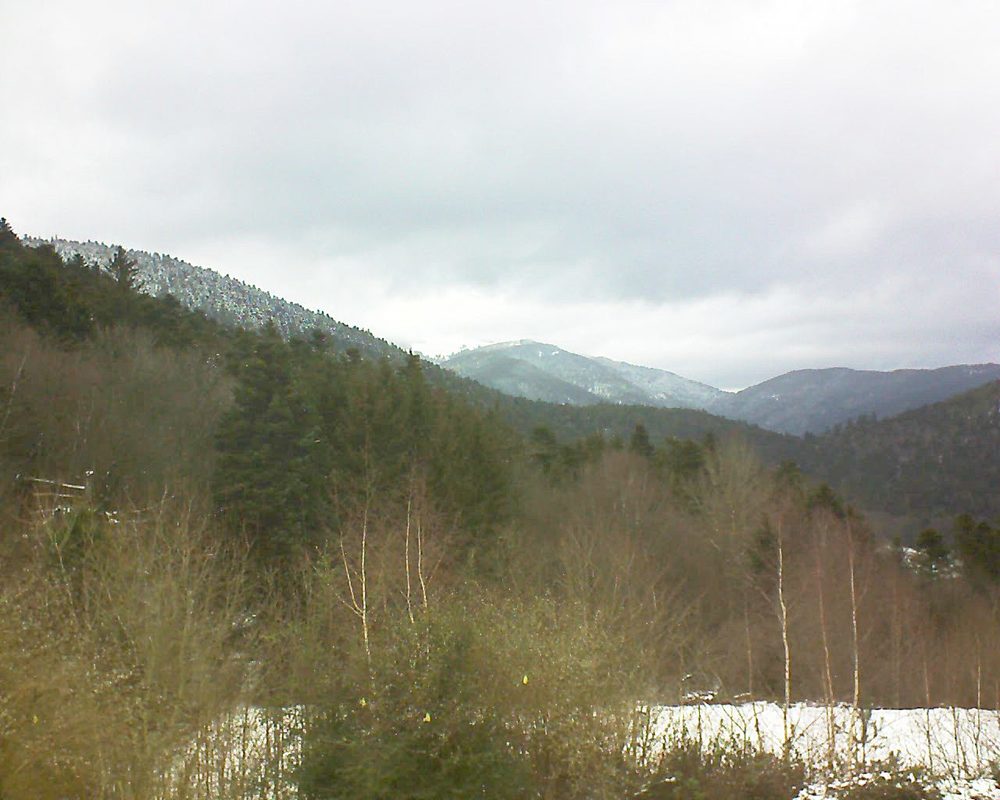 Le petit ballon vu depuis le Domaine Langmatt à Murbach le 12.01.2019 à 15:45 Le petit ballon (Alsace, Vosges) le 12.01.2019 à 15:45