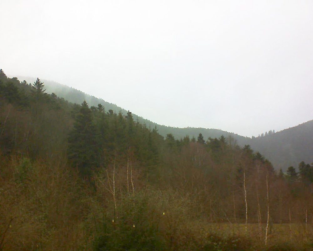 Le petit ballon vu depuis le Domaine Langmatt à Murbach le 14.01.2019 à 11:15 Le petit ballon (Alsace, Vosges) le 14.01.2019 à 11:15