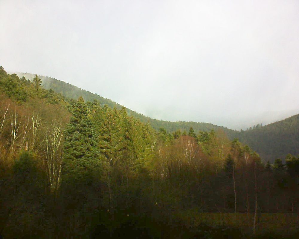 Le petit ballon vu depuis le Domaine Langmatt à Murbach le 14.01.2019 à 11:30 Le petit ballon (Alsace, Vosges) le 14.01.2019 à 11:30