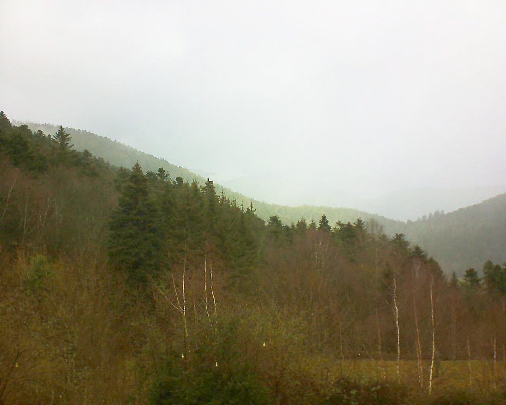 Le petit ballon vu depuis le Domaine Langmatt à Murbach le 14.01.2019 à 12:15 Le petit ballon (Alsace, Vosges) le 14.01.2019 à 12:15