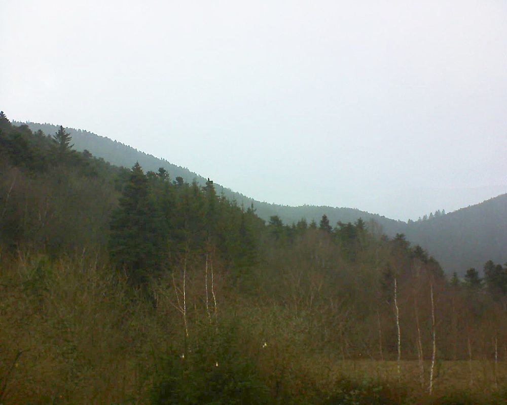 Le petit ballon vu depuis le Domaine Langmatt à Murbach le 14.01.2019 à 13:15 Le petit ballon (Alsace, Vosges) le 14.01.2019 à 13:15
