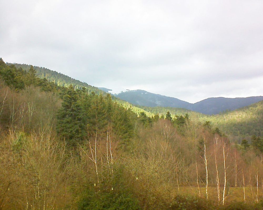Le petit ballon vu depuis le Domaine Langmatt à Murbach le 14.01.2019 à 13:30 Le petit ballon (Alsace, Vosges) le 14.01.2019 à 13:30