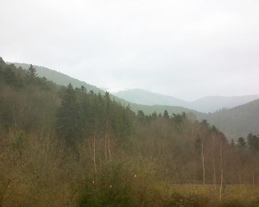 Le petit ballon vu depuis le Domaine Langmatt à Murbach le 14.01.2019 à 14:00 Le petit ballon (Alsace, Vosges) le 14.01.2019 à 14:00