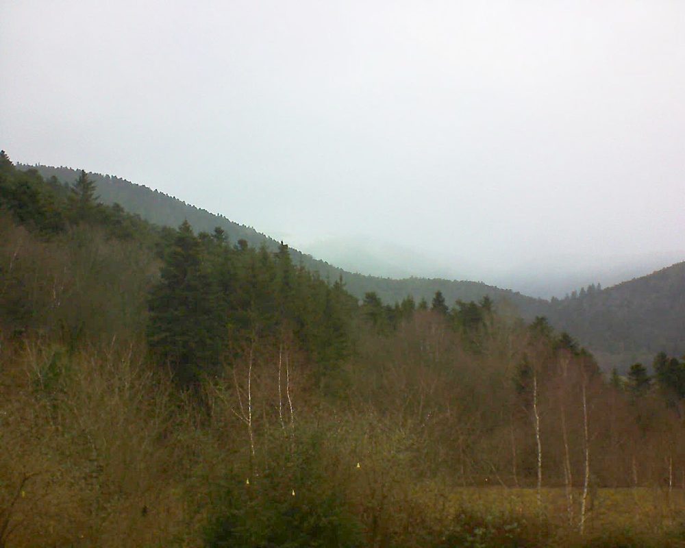 Le petit ballon vu depuis le Domaine Langmatt à Murbach le 14.01.2019 à 14:15 Le petit ballon (Alsace, Vosges) le 14.01.2019 à 14:15