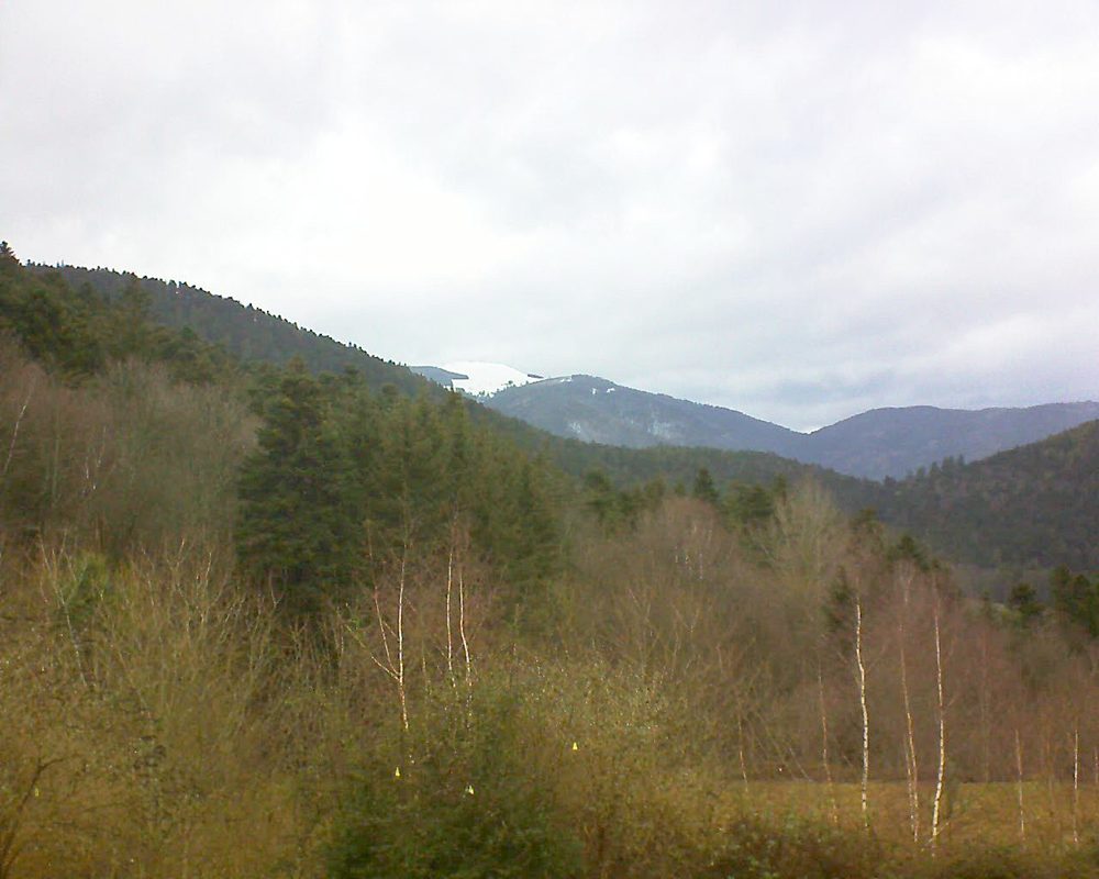 Le petit ballon vu depuis le Domaine Langmatt à Murbach le 14.01.2019 à 14:45 Le petit ballon (Alsace, Vosges) le 14.01.2019 à 14:45