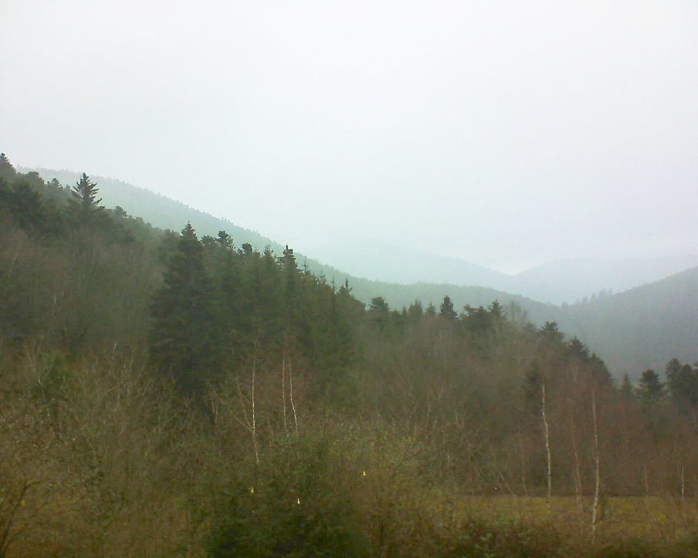 Le petit ballon vu depuis le Domaine Langmatt à Murbach le 14.01.2019 à 15:15 Le petit ballon (Alsace, Vosges) le 14.01.2019 à 15:15