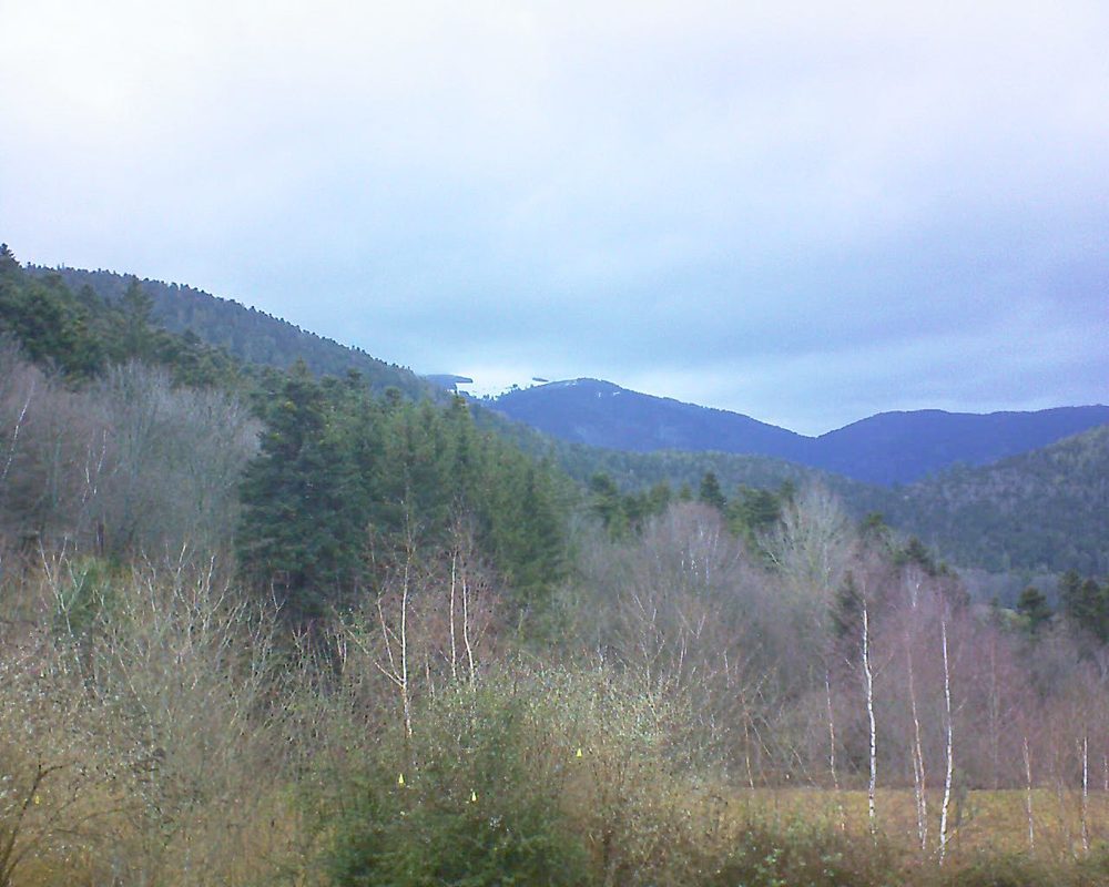 Le petit ballon vu depuis le Domaine Langmatt à Murbach le 14.01.2019 à 16:00 Le petit ballon (Alsace, Vosges) le 14.01.2019 à 16:00