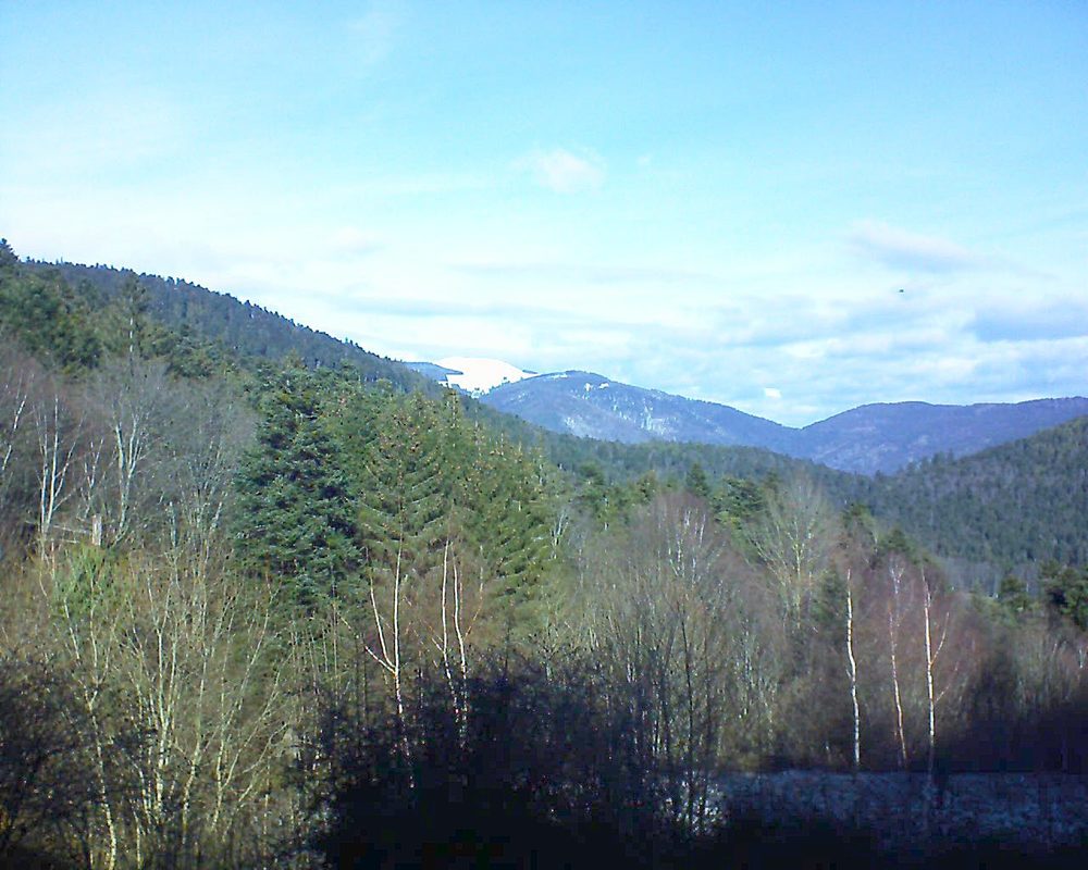 Le petit ballon vu depuis le Domaine Langmatt à Murbach le 15.01.2019 à 12:15 Le petit ballon (Alsace, Vosges) le 15.01.2019 à 12:15