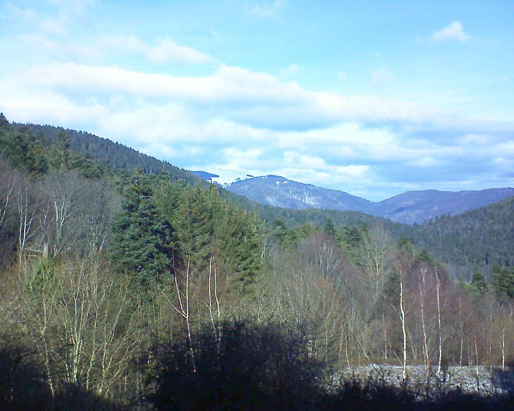 Le petit ballon vu depuis le Domaine Langmatt à Murbach le 15.01.2019 à 12:45 Le petit ballon (Alsace, Vosges) le 15.01.2019 à 12:45