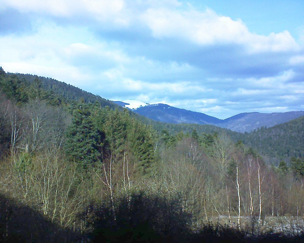 Le petit ballon vu depuis le Domaine Langmatt à Murbach le 15.01.2019 à 13:00 Le petit ballon (Alsace, Vosges) le 15.01.2019 à 13:00