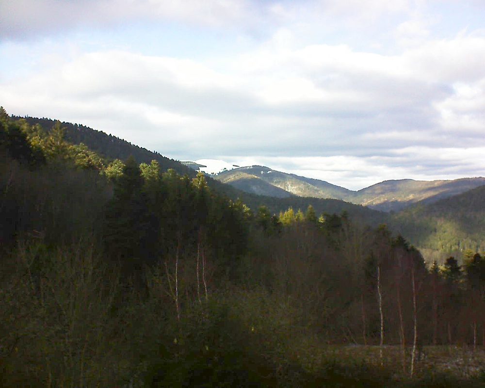 Le petit ballon vu depuis le Domaine Langmatt à Murbach le 15.01.2019 à 14:15 Le petit ballon (Alsace, Vosges) le 15.01.2019 à 14:15