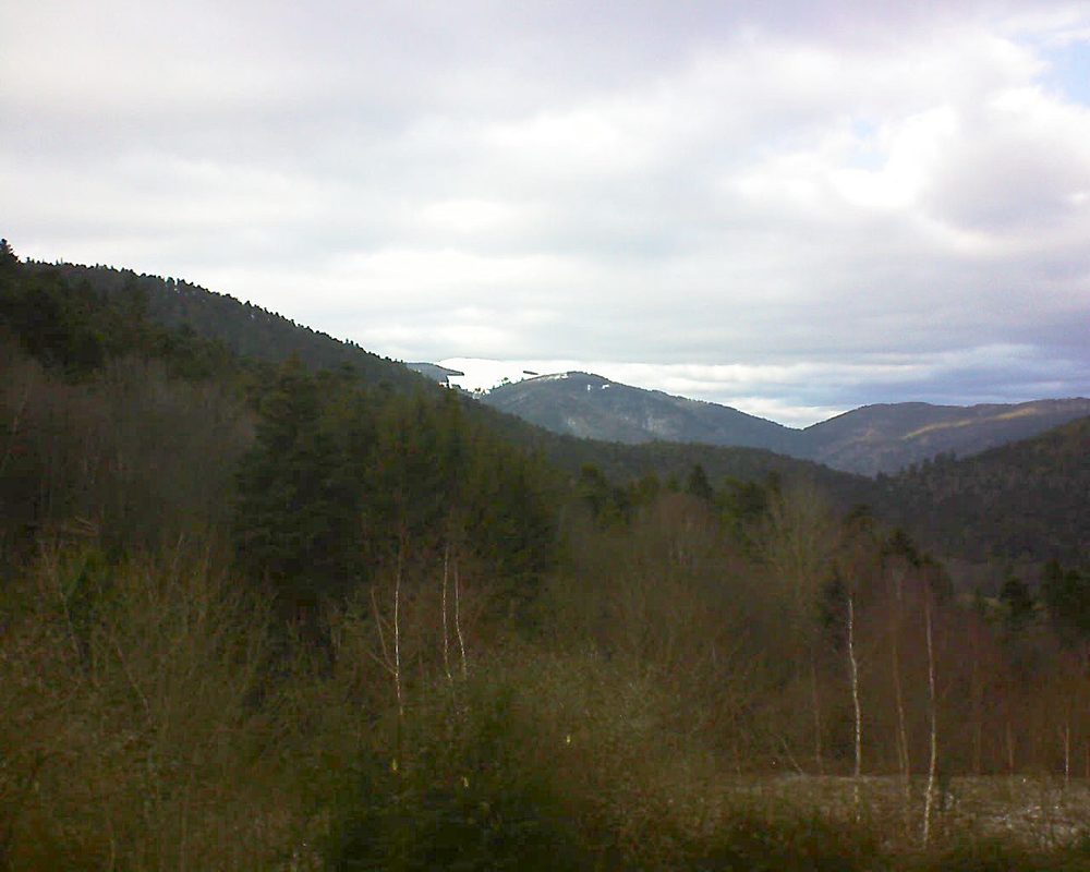 Le petit ballon vu depuis le Domaine Langmatt à Murbach le 15.01.2019 à 14:30 Le petit ballon (Alsace, Vosges) le 15.01.2019 à 14:30