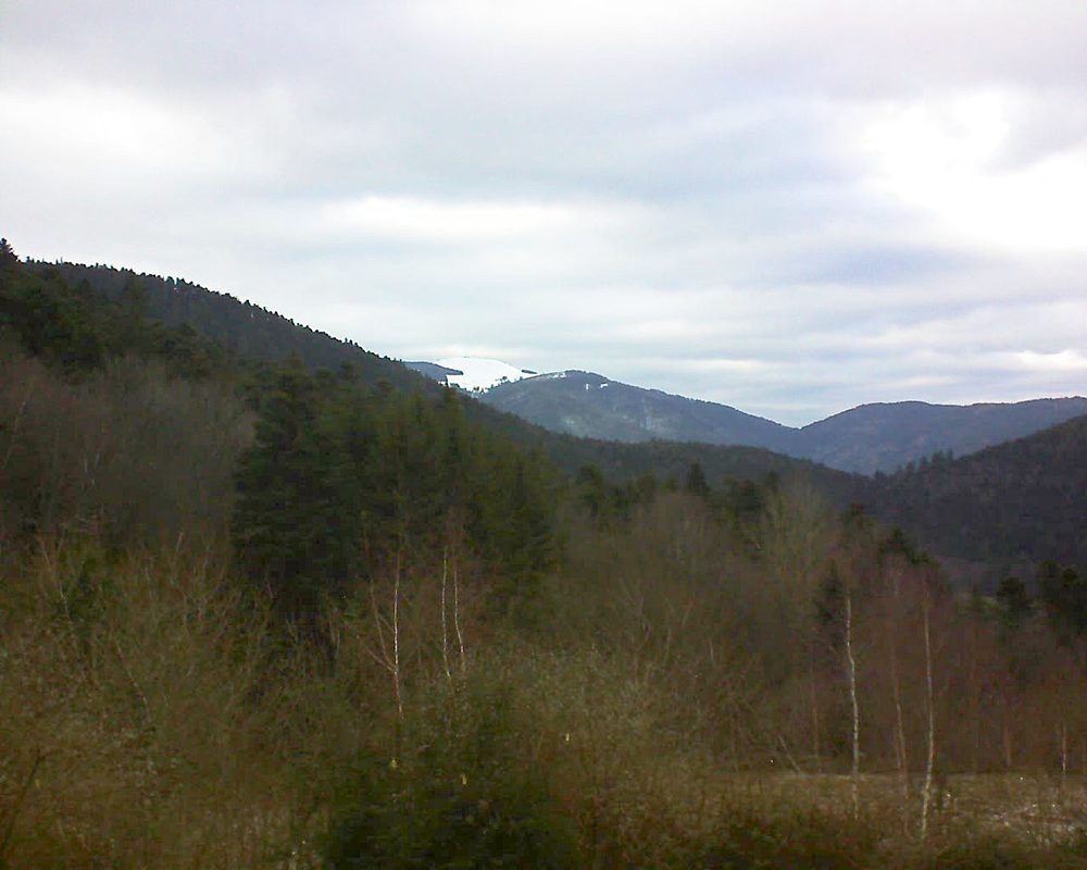 Le petit ballon vu depuis le Domaine Langmatt à Murbach le 15.01.2019 à 15:15 Le petit ballon (Alsace, Vosges) le 15.01.2019 à 15:15