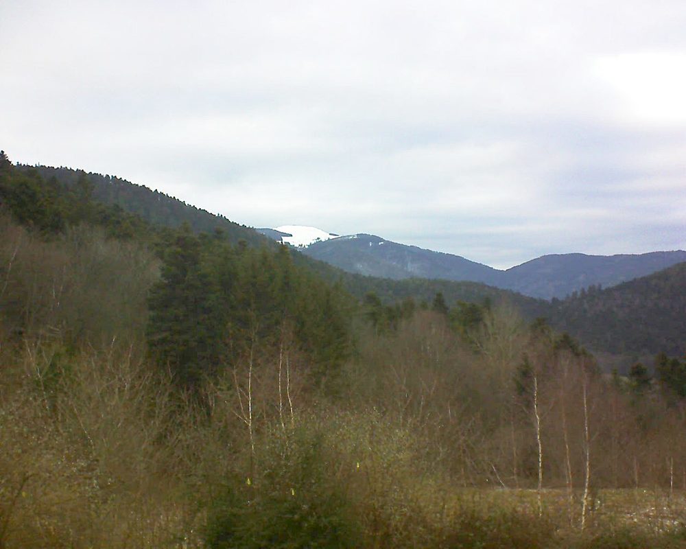 Le petit ballon vu depuis le Domaine Langmatt à Murbach le 15.01.2019 à 15:30 Le petit ballon (Alsace, Vosges) le 15.01.2019 à 15:30