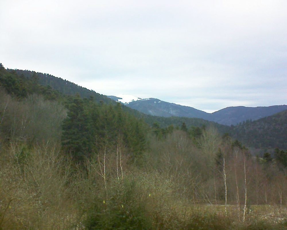 Le petit ballon vu depuis le Domaine Langmatt à Murbach le 15.01.2019 à 15:45 Le petit ballon (Alsace, Vosges) le 15.01.2019 à 15:45