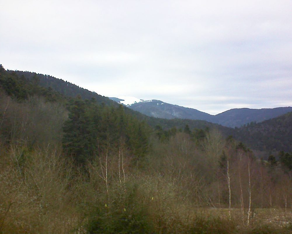 Le petit ballon vu depuis le Domaine Langmatt à Murbach le 15.01.2019 à 16:00 Le petit ballon (Alsace, Vosges) le 15.01.2019 à 16:00