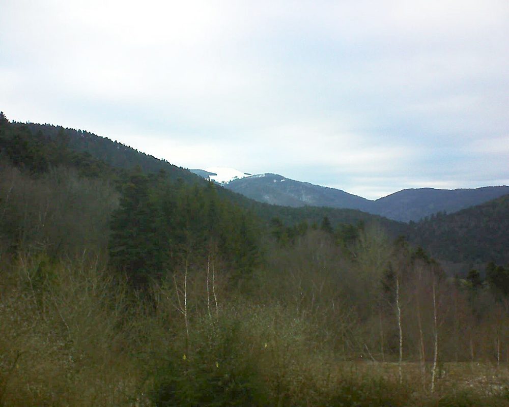 Le petit ballon vu depuis le Domaine Langmatt à Murbach le 15.01.2019 à 16:15 Le petit ballon (Alsace, Vosges) le 15.01.2019 à 16:15