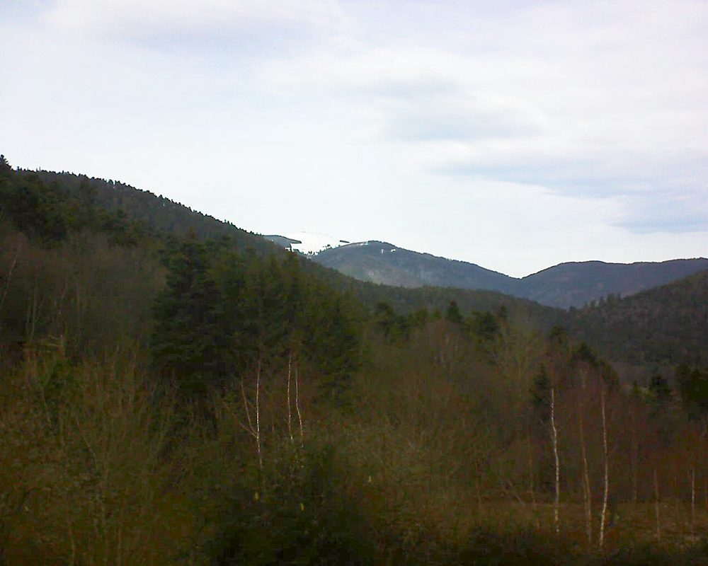 Le petit ballon vu depuis le Domaine Langmatt à Murbach le 16.01.2019 à 12:45 Le petit ballon (Alsace, Vosges) le 16.01.2019 à 12:45