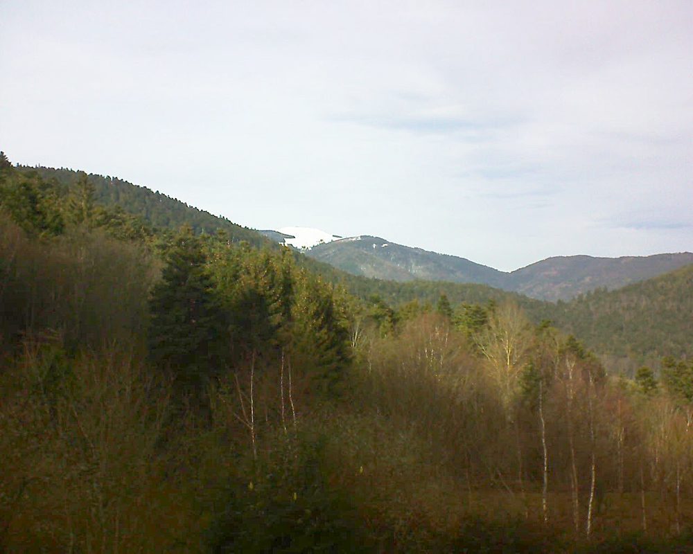 Le petit ballon vu depuis le Domaine Langmatt à Murbach le 16.01.2019 à 13:45 Le petit ballon (Alsace, Vosges) le 16.01.2019 à 13:45