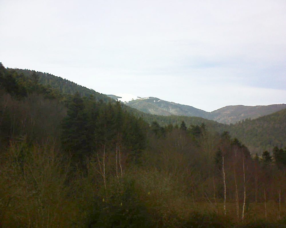 Le petit ballon vu depuis le Domaine Langmatt à Murbach le 16.01.2019 à 14:30 Le petit ballon (Alsace, Vosges) le 16.01.2019 à 14:30